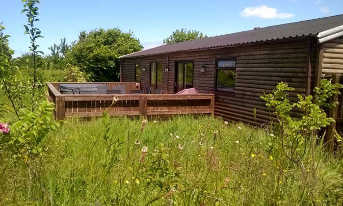 Lower Yelland Farm